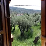 Koutadelias