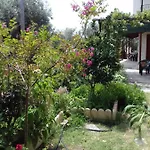 Koutadelias Διαμέρισμα *