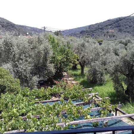 Koutadelias Kalamos (Thessaly)