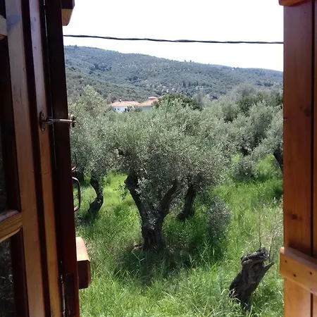 Koutadelias