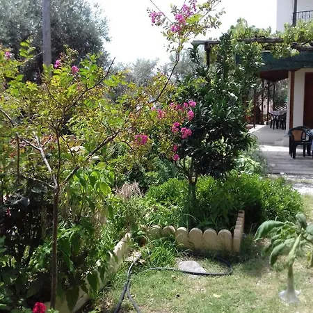 Koutadelias Apartamento *