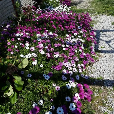 Koutadelias Apartamento